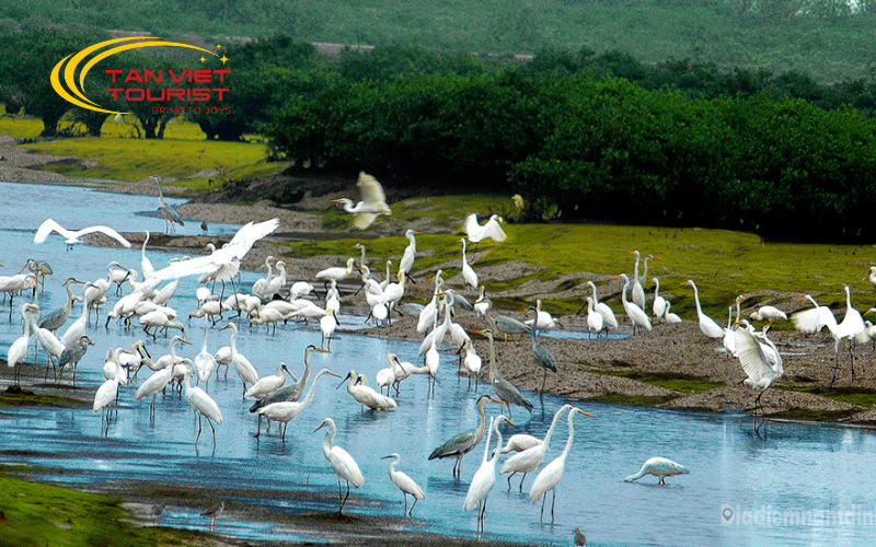 vqg-xuan-thuy-nha-tho-do-hai-ly (2)