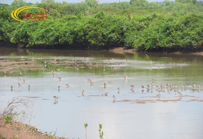 vqg-xuan-thuy-nha-tho-do-hai-ly (2)