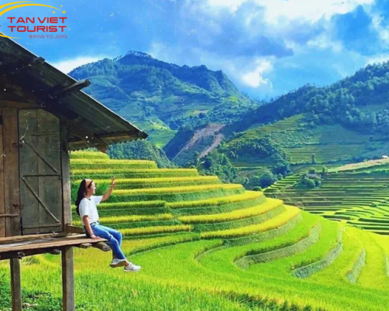TOUR DU LỊCH MÙ CANG CHAI - TÚ LỆ 2N1Đ