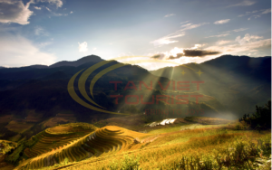 du lịch Mù Cang Chải