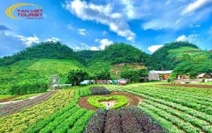 du lịch mộc châu tháng nào đẹp nhất