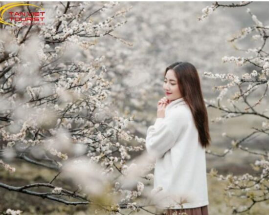 TOUR NA HANG TUYÊN QUANG – NA HANG – KHÁM PHÁ MÙA HOA LÊ