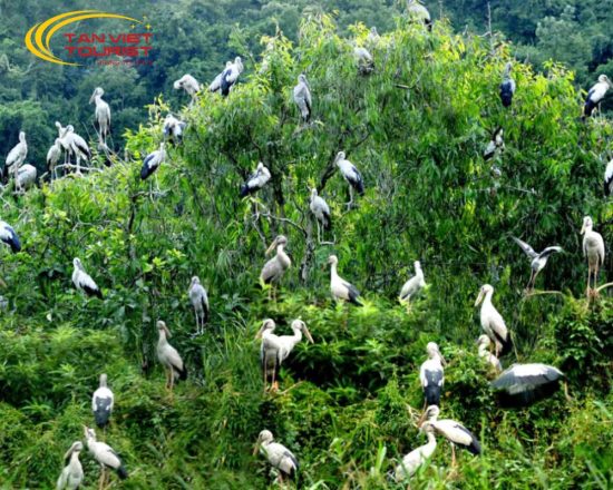 Tour Thung Nham - Phố Cổ Hoa Lư