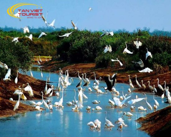 Tour VQG Xuân Thủy - Nhà Thờ Phú Nhai